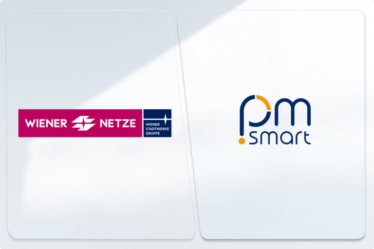 Wiener Netze setzt auf die Projektmanagement-Software pm-smart.